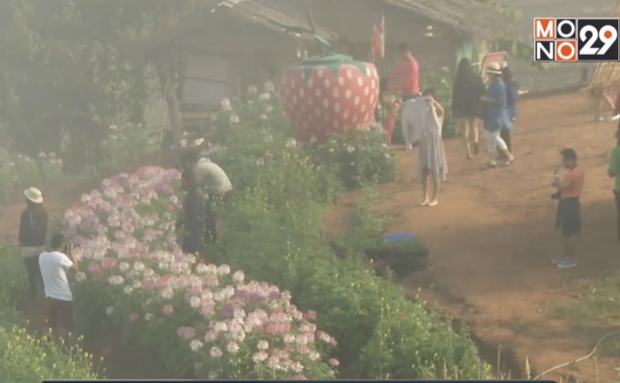 ททท.เตรียมเปิดให้ลงทะเบียน “100 เดียวเที่ยวทั่วไทย”