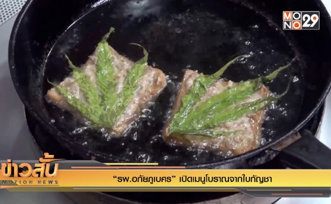 “รพ.อภัยภูเบศร” เปิดเมนูโบราณจากใบกัญชา