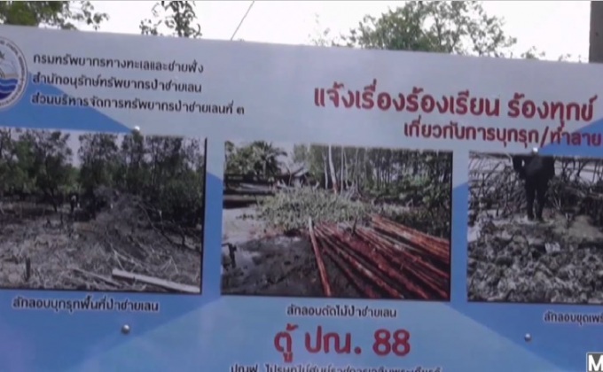 เรียกร้องแก้ปัญหากลุ่มทุนรุกป่าชายเลน จ.ตรัง