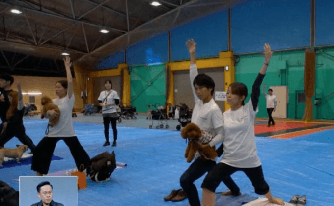 กิจกรรมโยคะสุนัขในญี่ปุ่น