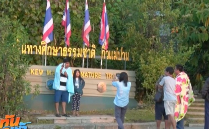 แห่สัมผัสอากาศหนาว คลายร้อน บนยอดดอยอินทนนท์