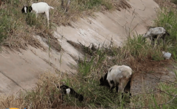 ผลกระทบจากภัยแล้งทั่วประเทศ