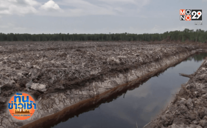 เร่งแก้ปัญหากลุ่มทุนบุกรุกป่าภาคใต้