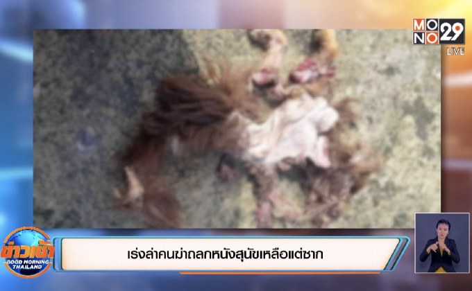 เร่งล่าคนฆ่าถลกหนังสุนัขเหลือแต่ซาก