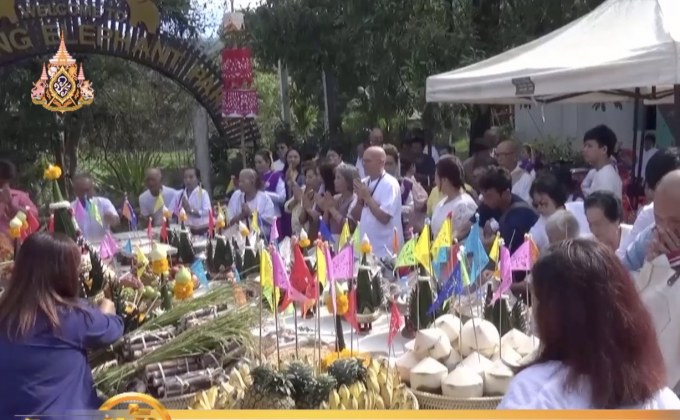​เชียงใหม่พิธีเลี้ยงศาลปะกำ สืบสานประเพณีคนเลี้ยงช้าง