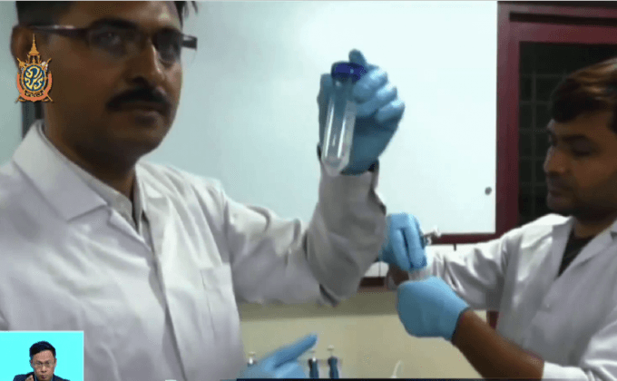 นักวิทยาศาสตร์อินเดียพบทองผสมในปัสสาวะวัว