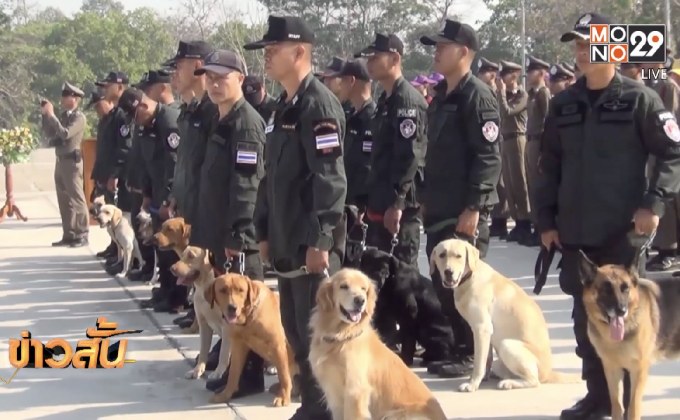 เสริมกำลังสุนัขดมกลิ่นตรวจค้นยาเสพติด