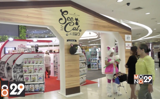 พาราไดซ์ พาร์ค See Cat แมว