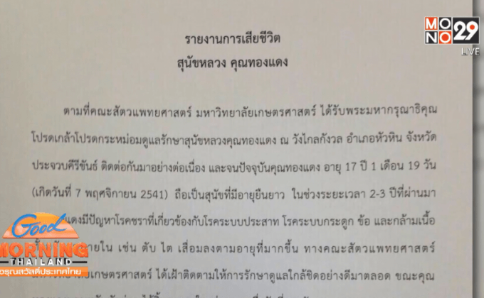 สิ้น “คุณทองแดง” สุนัขทรงเลี้ยง