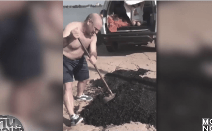 หนุ่มชาวอเมริกันทำดีเพื่อพ่อหลวง