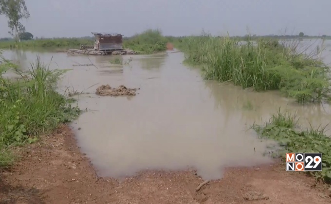 น้ำฝนสะสมล้นคลองไหลท่วมนา 500 ไร่  จ.พิจิตร