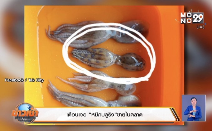 เตือนเจอ “หมึกบลูริง”ขายในตลาด