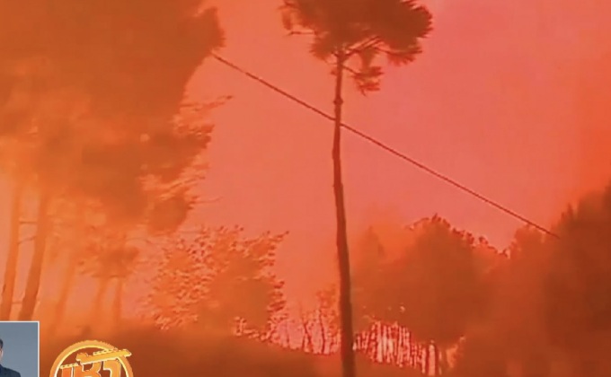 ไฟป่าในโปรตุเกสโหมไหม้ขึ้นอีกครั้ง