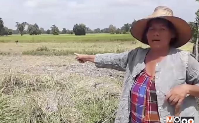 ชาว จ. สุรินทร์ร้องเรียนแหล่งน้ำผลิตประปาเน่าเสีย