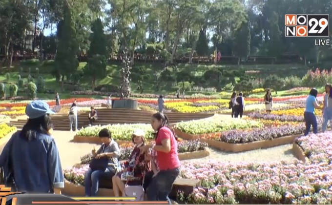 อากาศหนาวนักท่องเที่ยวแห่ชมสวนแม่ฟ้าหลวง