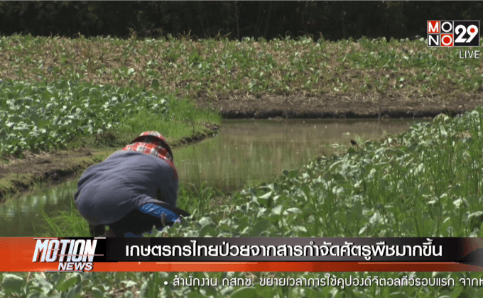 เกษตรกรไทยป่วยจากสารกำจัดศัตรูพืชมากขึ้น