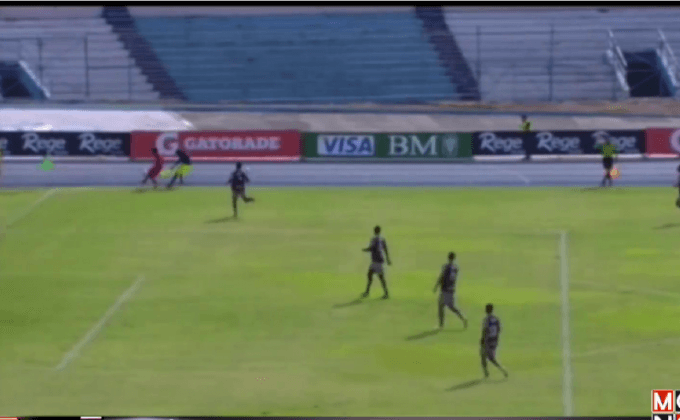 ฝูงผึ้งรบกวนการแข่งขันฟุตบอลในเอกวาดอร์