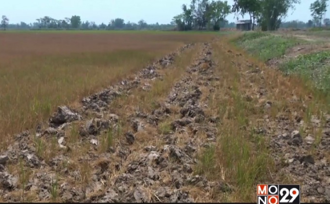 ภัยแล้งขยายวงกว้าง