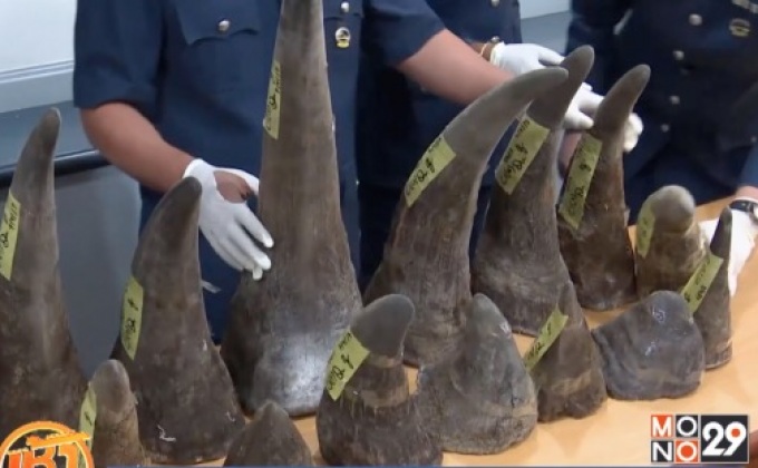 มาเลเซียยึดนอแรดล็อตใหญ่ที่สนามบิน