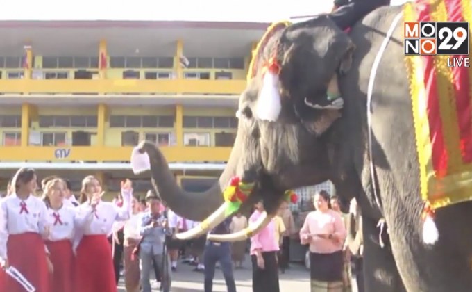 จังหวัดอยุธยา จัดโครงการ ก้าวคนละก้าว ร่วมก้าวไปหาตูน