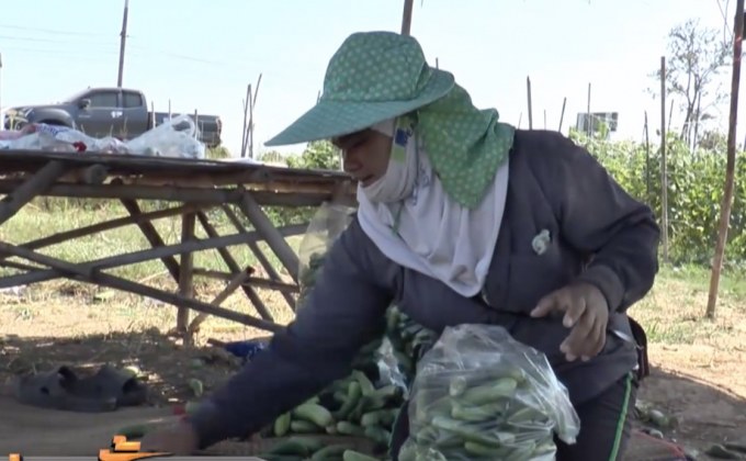 ภัยแล้งกระทบผลิตน้ำประปา-ปลูกข้าว