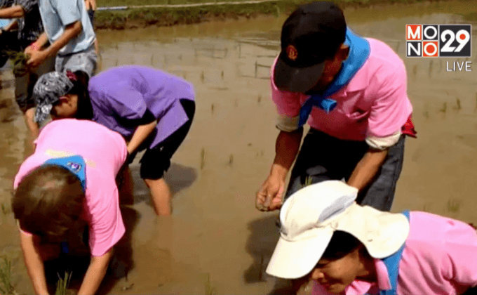 พสกนิกรทั่วไทยร่วมทำกิจกรรมวันแม่