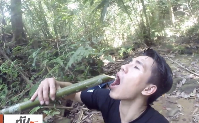 เจษฎาพาลุย : สำรวจป่าต้นน้ำ ตามหาดอกบัวผุด จ.ชุมพร