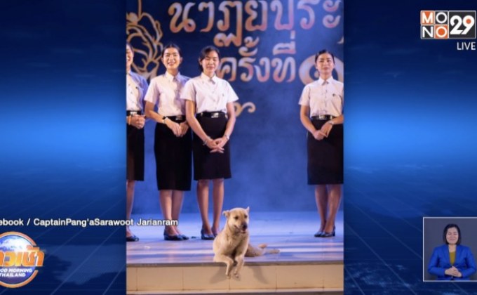 เจอแล้ว”เจ้าโบ้” สุนัขขี้อ้อน มหาวิทยาลัยดัง จอมแย่งซีน