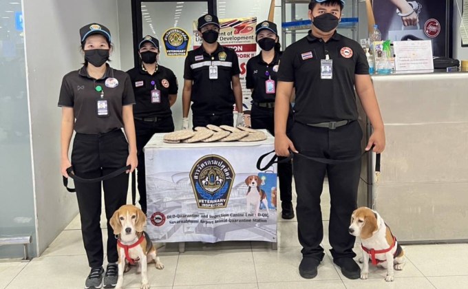 สารวัตรบีเกิ้ลจมูกไว! ตรวจยึดลูกชิ้นหมูซุกซ่อนสัมภาระ