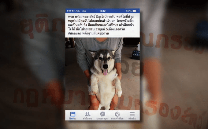 ทารุณสัตว์…ไม่รู้ว่าผิด ?