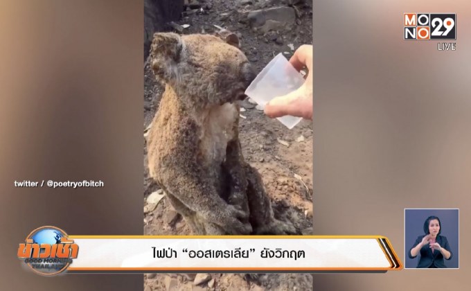 ไฟป่า“ออสเตรเลีย”ยังวิกฤต