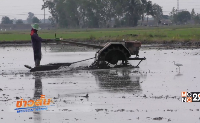 ชาวนาเตรียมดินเพื่อเริ่มทำนาในวันพืชมงคล