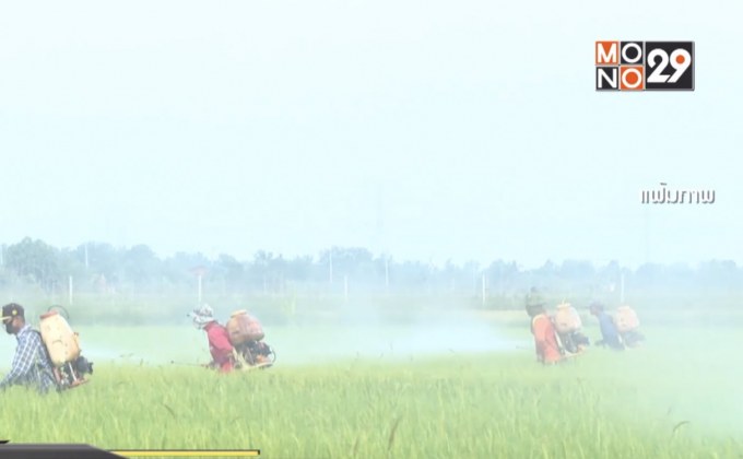 นายกฯโยนหน่วยงานแจงสหรัฐค้านไทยแบนสารไกลโฟเซต