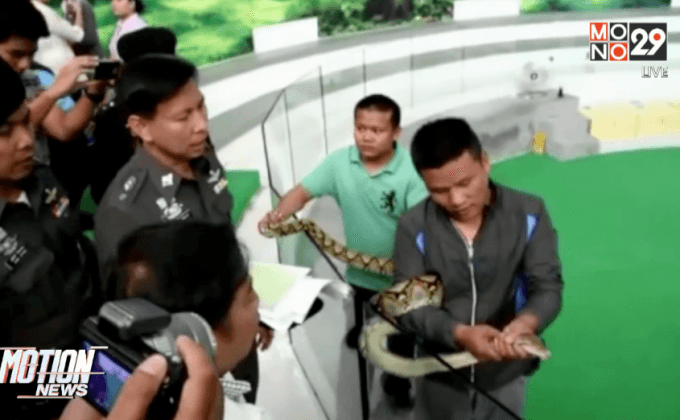 ตรวจสอบเหตุงูกัดนักท่องเที่ยวต่างชาติ