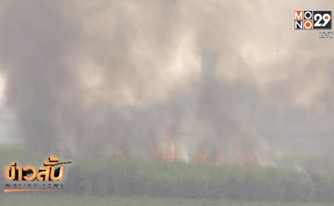 เตรียมเสนอแก้ปัญหาลักลอบเผาอ้อยเป็นวาระแห่งชาติ