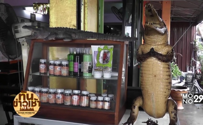 เปิบพิสดาร!! ก๋วยเตี๋ยวเนื้อจระเข้นครปฐม