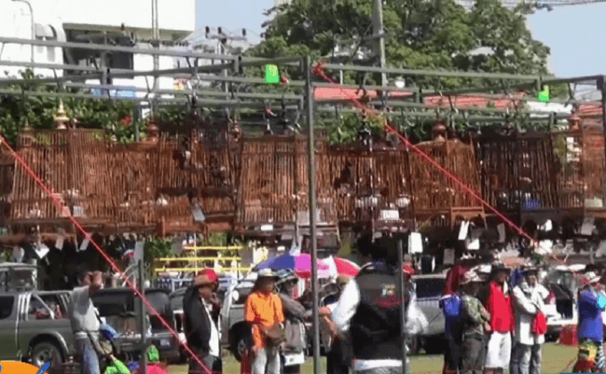 แข่งประชันเสียงนกกรงหัวจุกสู่ AEC