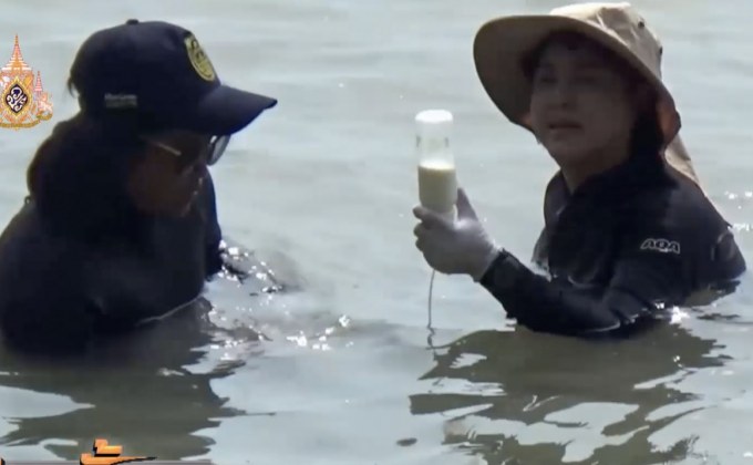 ห่วงพะยูน “มาเรียม” ดูดครีบจนเป็นแผล