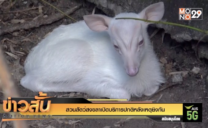 สวนสัตว์สงขลาเปิดบริการปกติหลังเหตุยิงกัน