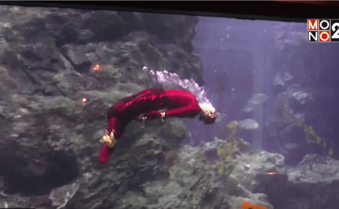 SEA LIFE Bangkok Ocean World  เตรียมจัด “โชว์มัจฉานุดำน้ำ” ครั้งแรกของไทย!