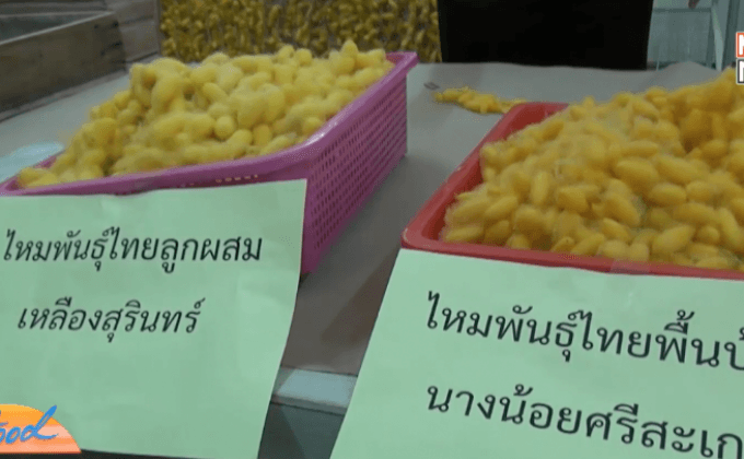 นักวิจัยพบหนอนไหมออกฤทธิ์เทียบ “ยาไวอากร้า”