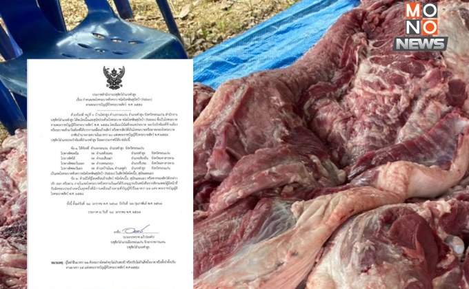 งดกินเนื้อดิบ! ขอนแก่นพบวัว-หมาติดเชื้อพิษสุนัขบ้า เร่งคุมโรค-ห้ามเคลื่อนย้ายสัตว์