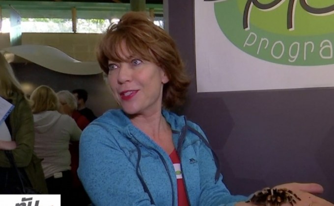 ​ครบรอบ 25 ปี โครงการพิชิตโรคกลัวแมงมุมในอังกฤษ