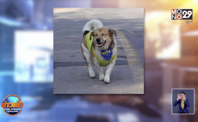 “เตี้ย มช.”ตายแล้ว