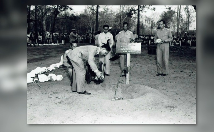 ต้นประดู่ของพ่อ ณ สวนสกุโณทยาน