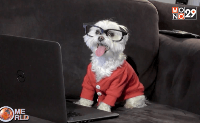 นานาสัตว์โลก ตอนที่ 2