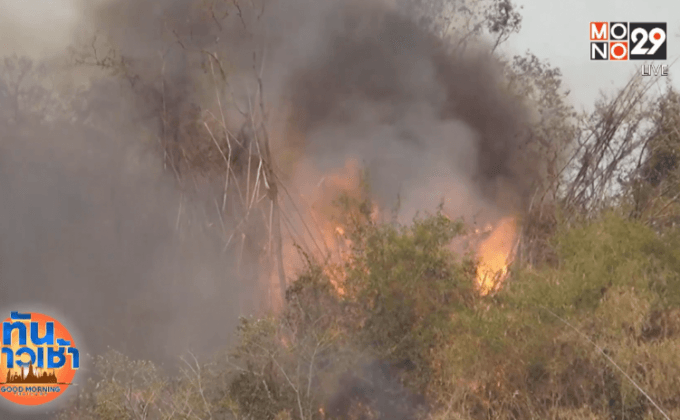 ไฟป่าลามไหม้สวนทุเรียนเสียหายกว่า 100 ล้าน
