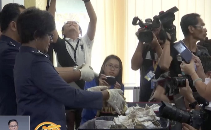 มาเลเซียตรวจยึดเต่าใกล้สูญพันธุ์กว่า 300 ตัว