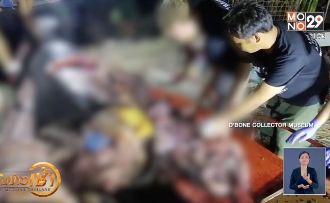 พลาสติก 40 ก.ก. อัดแน่นท้องวาฬเกยตื้นในฟิลิปปินส์