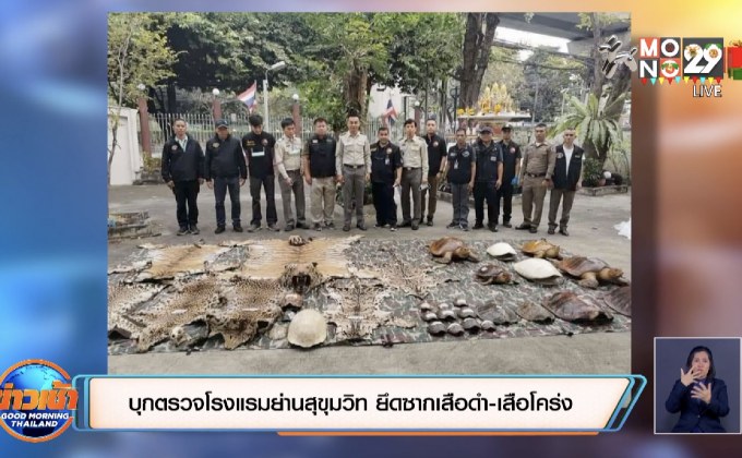 บุกตรวจโรงแรมย่านสุขุมวิท ยึดซากเสือดำ-เสือโคร่ง